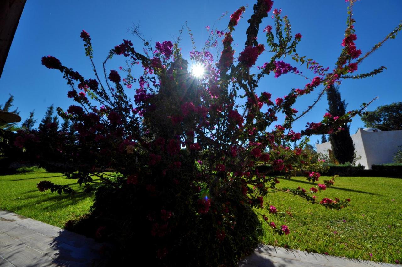 Villa Dar Sultana เอสเซาอิรา ภายนอก รูปภาพ